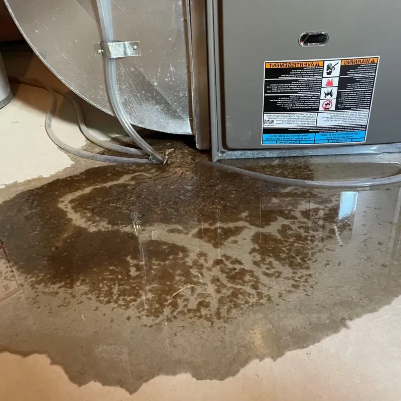 Pipe Burst and Leak Restoration in Sainte Genevieve County, MO