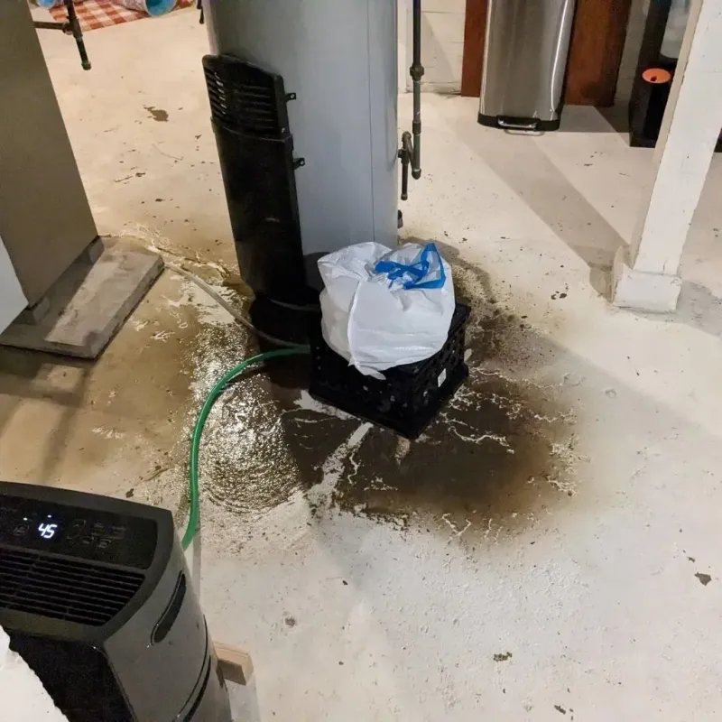 Sewage Backup Cleanup Service in Sainte Genevieve County, MO